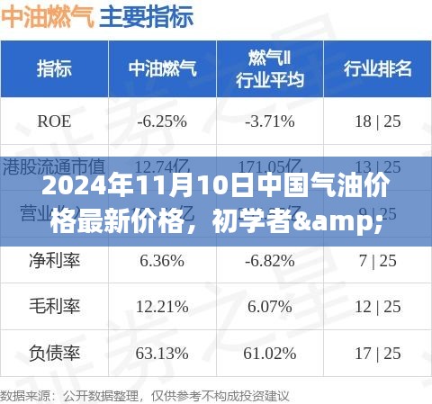 中国汽油价格最新动态，初学者与进阶用户必备查询与解读全攻略（2024年11月10日）