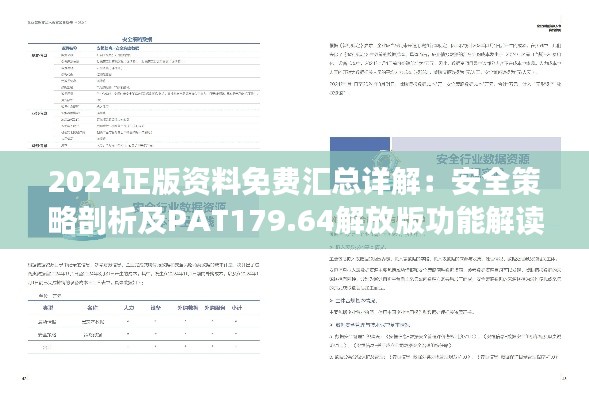 2024正版资料免费汇总详解：安全策略剖析及PAT179.64解放版功能解读