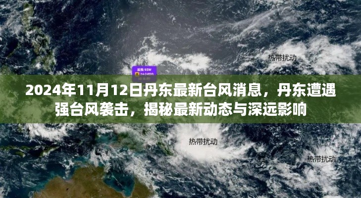 丹东遭遇强台风袭击，最新消息与深远影响揭秘（2024年11月12日）