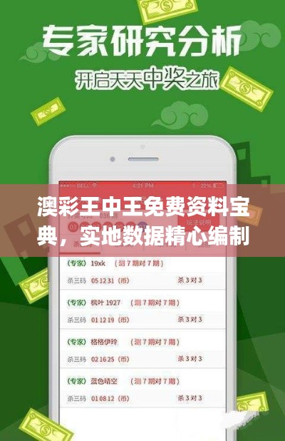 澳彩王中王免费资料宝典，实地数据精心编制_DSY96.576独家版