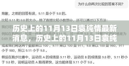 历史上的11月13日袁纯情最新消息回顾与概览