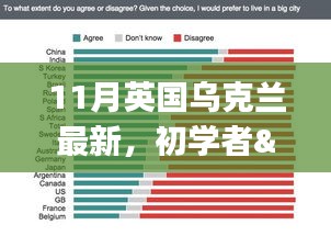 涉政解读，英国与乌克兰关系深度解析——最新指南针对初学者与进阶用户