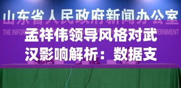 孟祥伟领导风格对武汉影响解析：数据支撑，SLU77.784旅行助手版详述