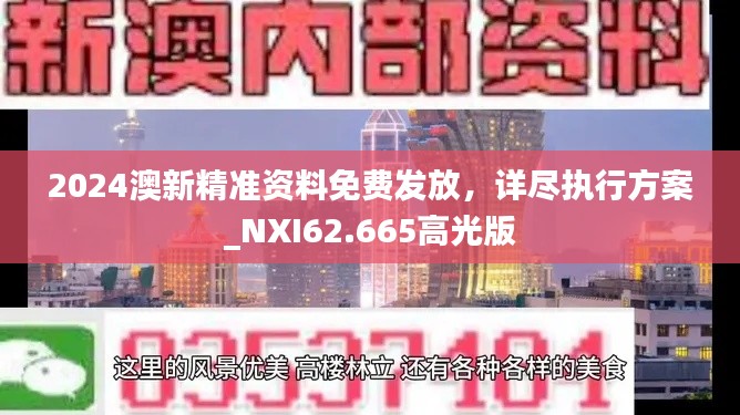 2024澳新精准资料免费发放，详尽执行方案_NXI62.665高光版