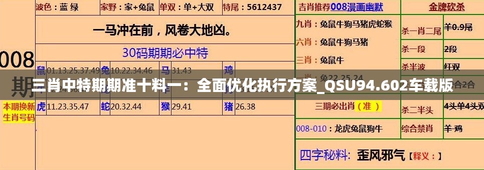 三肖中特期期准十料一：全面优化执行方案_QSU94.602车载版