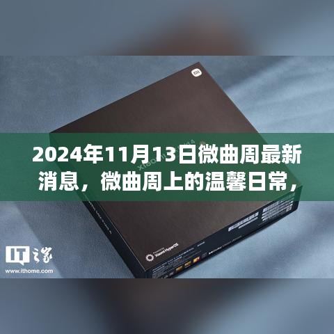 微曲周温馨日常趣事与情感纽带，最新消息，2024年11月13日