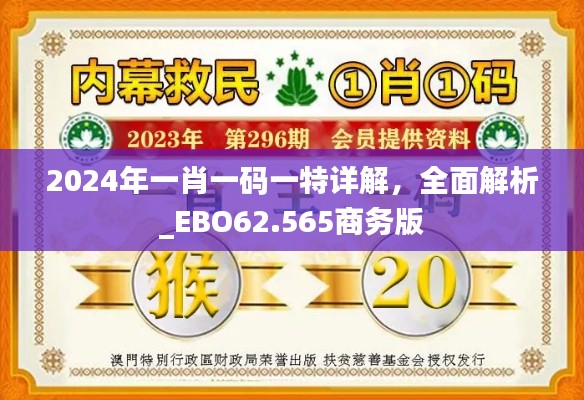 2024年一肖一码一特详解，全面解析_EBO62.565商务版