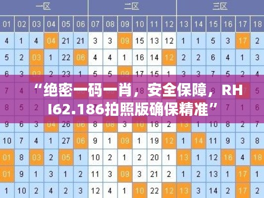 “绝密一码一肖，安全保障，RHI62.186拍照版确保精准”