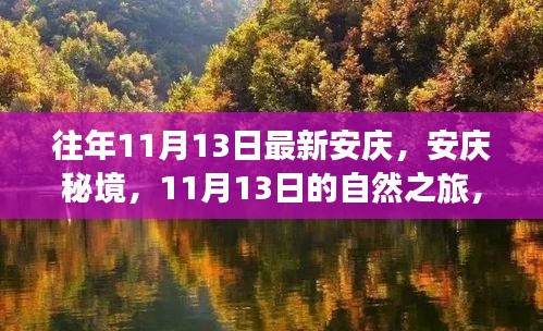 安庆秘境探索，心灵港湾的自然之旅，11月13日的独特体验