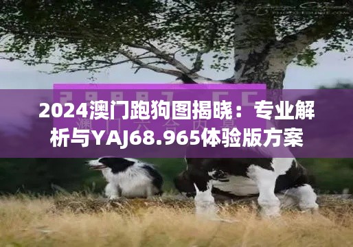 2024澳门跑狗图揭晓：专业解析与YAJ68.965体验版方案