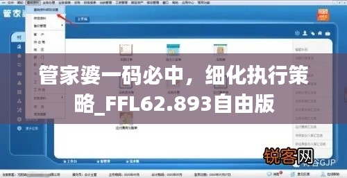 管家婆一码必中，细化执行策略_FFL62.893自由版