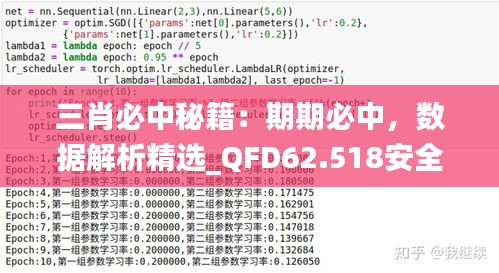 三肖必中秘籍：期期必中，数据解析精选_QFD62.518安全版