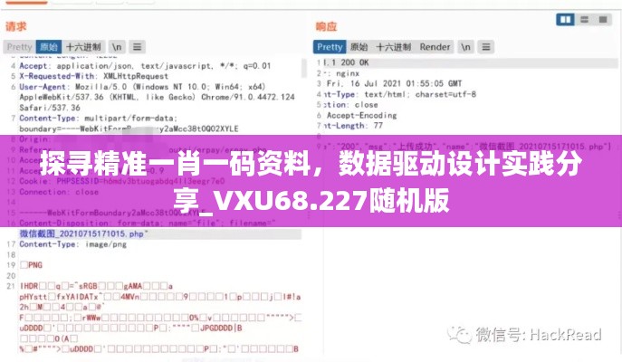 探寻精准一肖一码资料，数据驱动设计实践分享_VXU68.227随机版