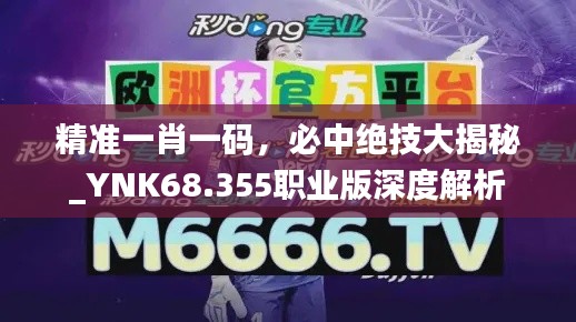 精准一肖一码，必中绝技大揭秘_YNK68.355职业版深度解析