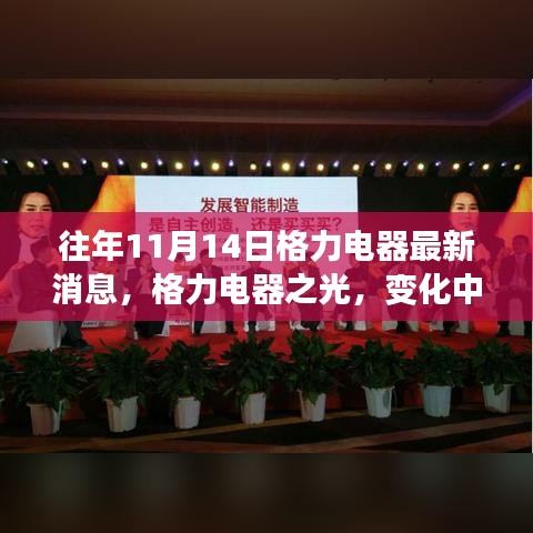 历年十一月十四日格力电器最新动态，学习力量与自信成就之路的闪耀篇章