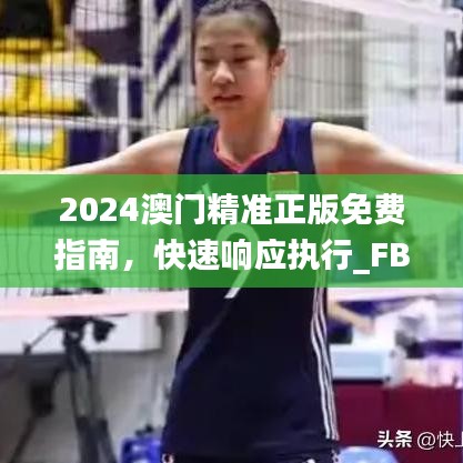 2024澳门精准正版免费指南，快速响应执行_FBZ18.289图形版本