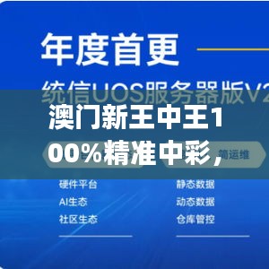 澳门新王中王100%精准中彩，EOJ18.251深度解析