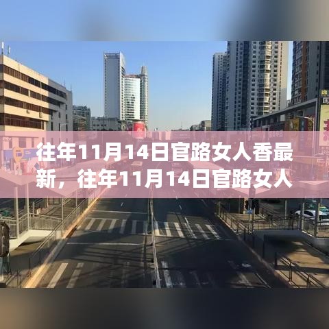 往年11月14日官路女人香最新解读，时尚变迁中的女性魅力多维展现