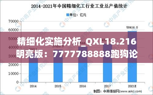 精细化实施分析_QXL18.216明亮版：7777788888跑狗论坛讨论