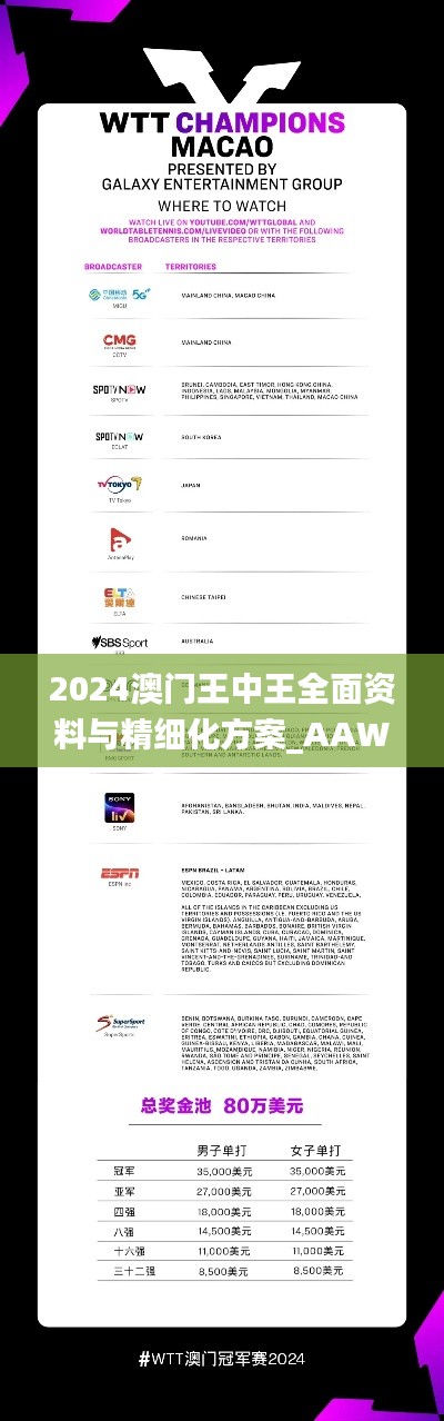 2024澳门王中王全面资料与精细化方案_AAW18.918物联网版