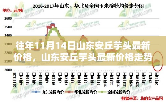 山东安丘芋头最新价格走势分析与探讨，历年趋势与观点阐述标题建议，山东安丘芋头最新价格动态及走势深度解析。