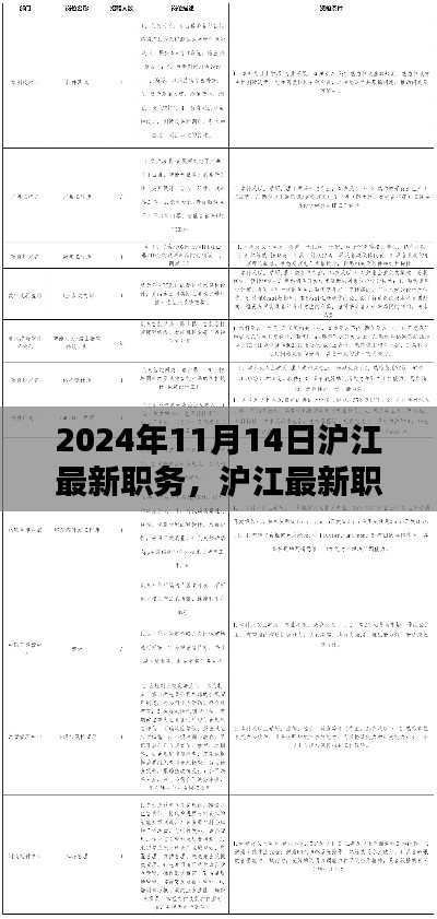 2024年沪江最新职务应聘全攻略，职位申请步骤详解及申请指南