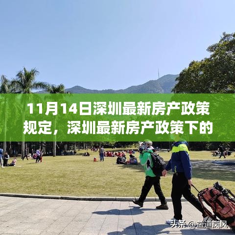 深圳最新房产政策下的心灵与自然之旅，寻找内心的宁静港湾