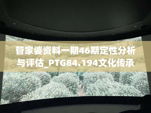 管家婆资料一期46期定性分析与评估_PTG84.194文化传承版