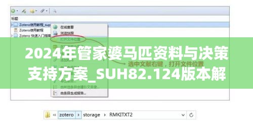 2024年管家婆马匹资料与决策支持方案_SUH82.124版本解析