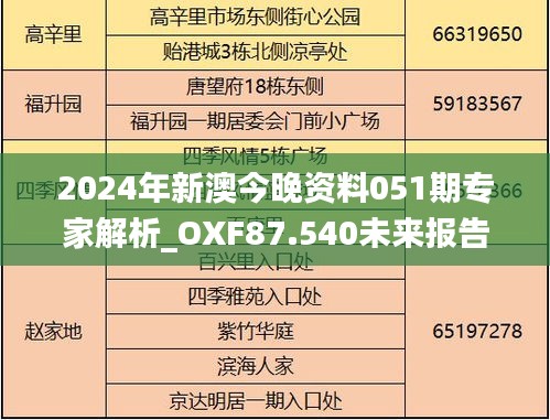 2024年新澳今晚资料051期专家解析_OXF87.540未来报告