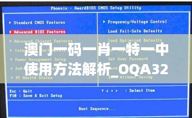 澳门一码一肖一特一中使用方法解析_OQA32.815原创版