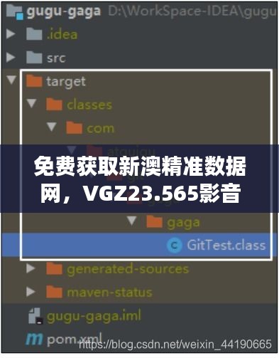 免费获取新澳精准数据网，VGZ23.565影音版数据分析程序