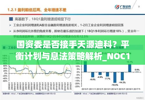 国资委是否接手天源迪科？平衡计划与息法策略解析_NOC19.289完整版