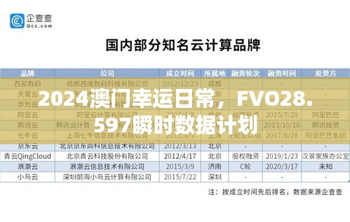 2024澳门幸运日常，FVO28.597瞬时数据计划