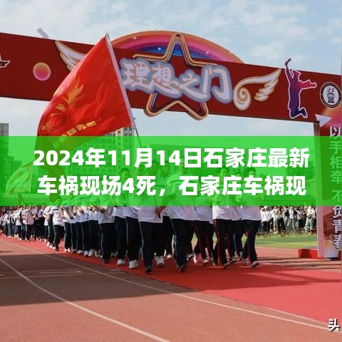 石家庄车祸纪实，深度解析事故背后的悲剧（2024年11月14日）