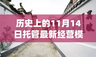 揭秘历史中的11月14日，特色小店的全新经营模式传奇与秘境解锁