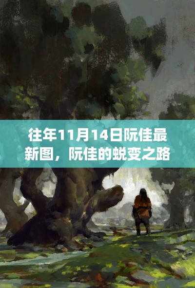 阮佳的蜕变之路，学习重塑自信，成就梦想新篇章——历年11月14日最新美图展示