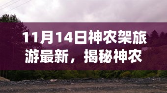 揭秘神农架旅游全新智能体验，科技巅峰之旅，开启未来探险新篇章！