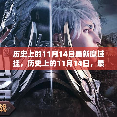 历史上的11月14日魔域挂评测与介绍，最新魔域挂揭秘