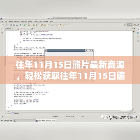 往年11月15日熊片最新资源获取指南，初学者与进阶用户的必备指南