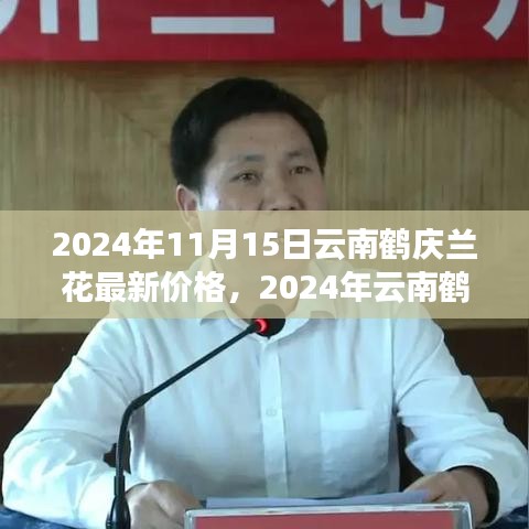 2024年云南鹤庆兰花最新价格及购买指南，适合初学者与进阶用户的全面资讯