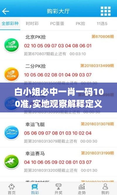 白小姐必中一肖一码100准,实地观察解释定义_USE95.893便携版