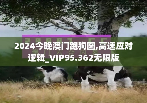 2024今晚澳门跑狗图,高速应对逻辑_VIP95.362无限版