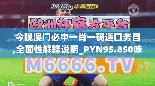 今晚澳门必中一肖一码适囗务目,全面性解释说明_PYN95.850味道版