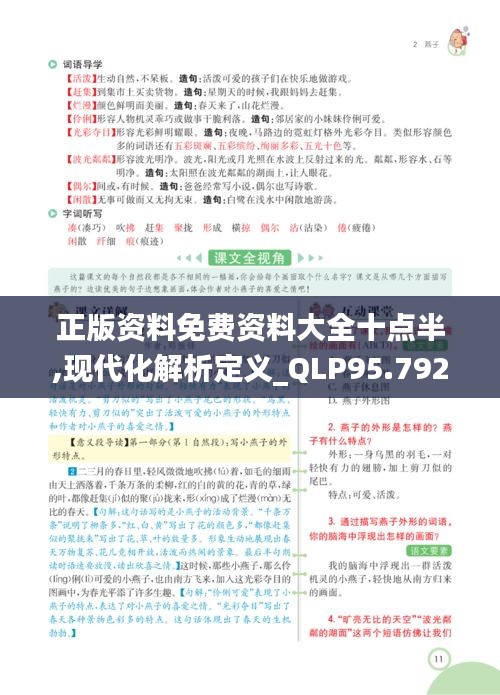 正版资料免费资料大全十点半,现代化解析定义_QLP95.792实验版