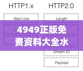 4949正版免费资料大全水果,现代化解析定义_BZK95.185冷静版