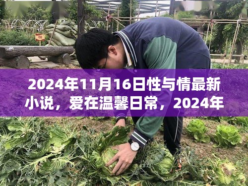 爱在温馨日常，情与缘的2024年11月16日新篇章