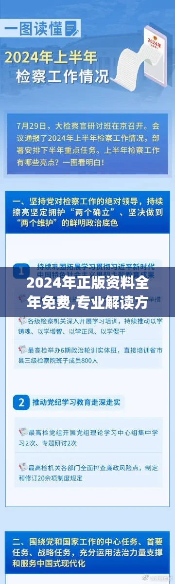 2024年正版资料全年免费,专业解读方案实施_WFR95.647原创版