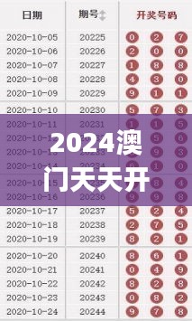 2024澳门天天开好彩大全正版,稳固执行战略分析_JAA95.615瞬间版