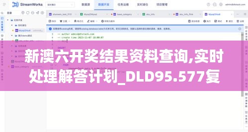 新澳六开奖结果资料查询,实时处理解答计划_DLD95.577复兴版